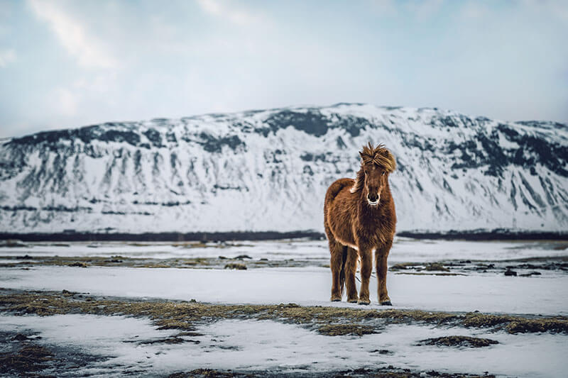 Buchstabhausen an der Küste des Semantik