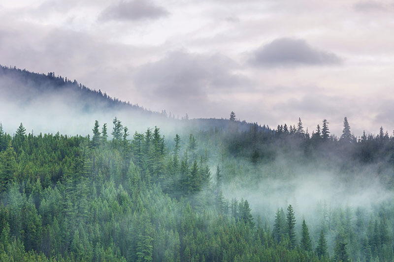 Ein geradezu unorthographisches Leben